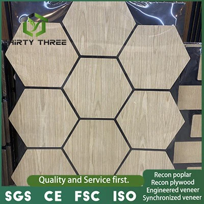 Akupanel kỹ thuật thân thiện với môi trường để trang trí nội thất sang trọng